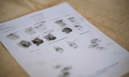 Erase The Case, PLLC.
