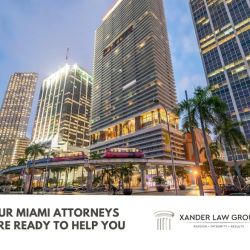 Xander Law Group, P.A. ico