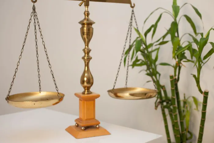 Xander Law Group, P.A. 5