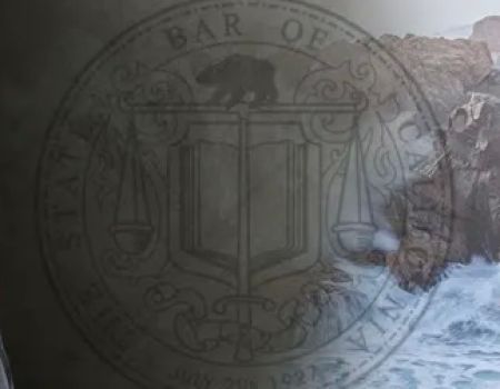 Law Offices of Charmaine Druyor