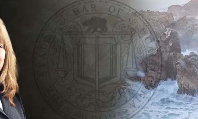 Law Offices of Charmaine Druyor