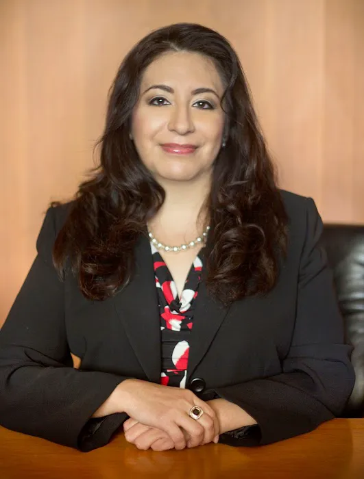 Castillo Law Firm 0
