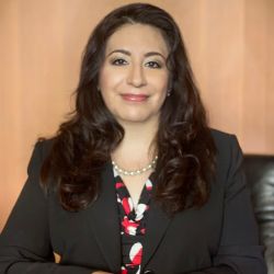Castillo Law Firm ico