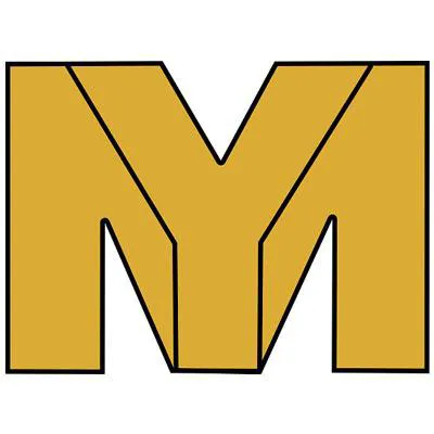Michael Yadegari LA Law Group Personal Injury Employment and Accident Attorneys 1