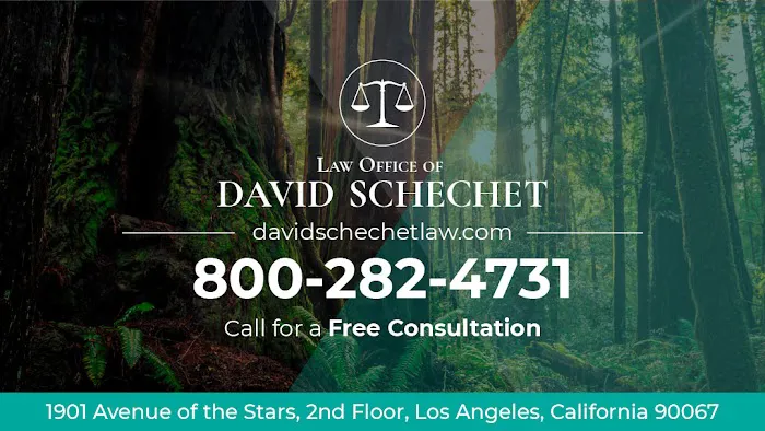 Law Office of David Schechet 0