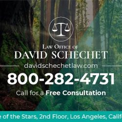 Law Office of David Schechet ico