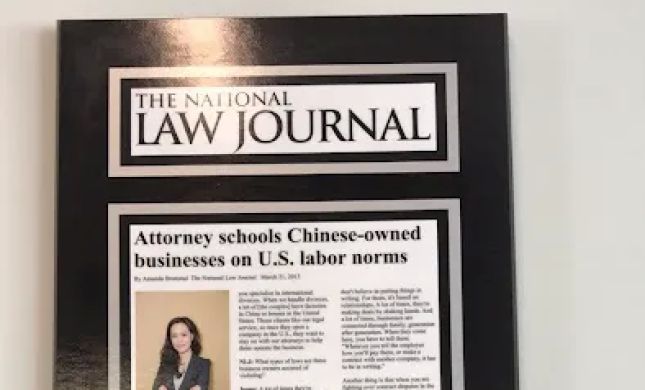 Ideal Legal Group, Inc.
