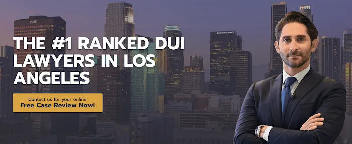 Hart J. Levin - Santa Monica DUI Lawyers 2