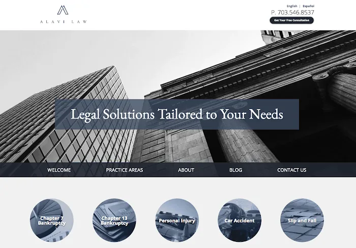 Alavi Law Group 0
