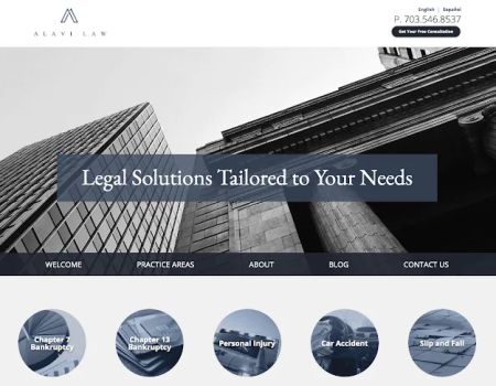 Alavi Law Group