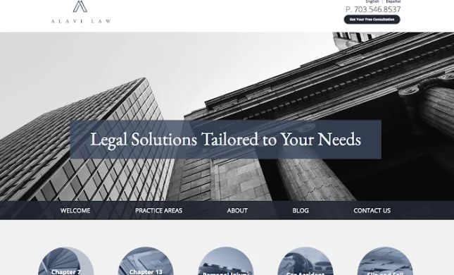 Alavi Law Group