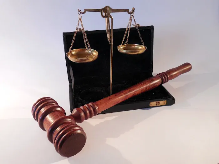 Law Firm of Victoria Ledeneva, Esq. 1