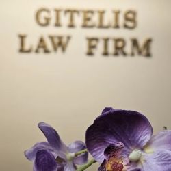 Gitelis Law Offices ico