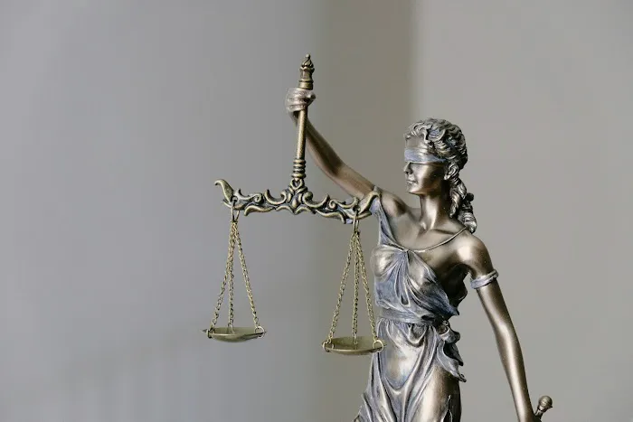 Brownstone Law 1