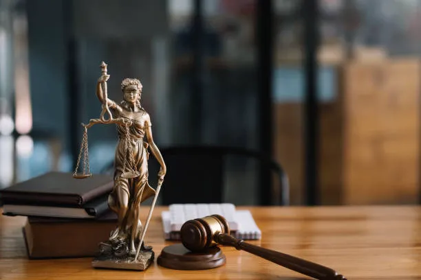 Brownstone Law 5