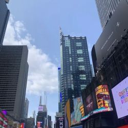 Waldman Michael ico