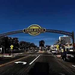 Elite Criminal Defense ico