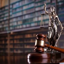 The Law Office of Giovanna Gallo ico