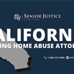 Senior Justice Law Firm | Nursing Home Abuse Attorneys ico