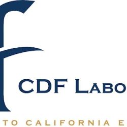 CDF Labor Law LLP ico