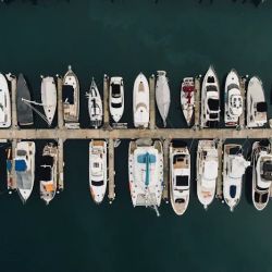 Vastola Legal ico