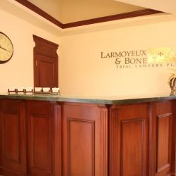 Larmoyeux & Bone ico