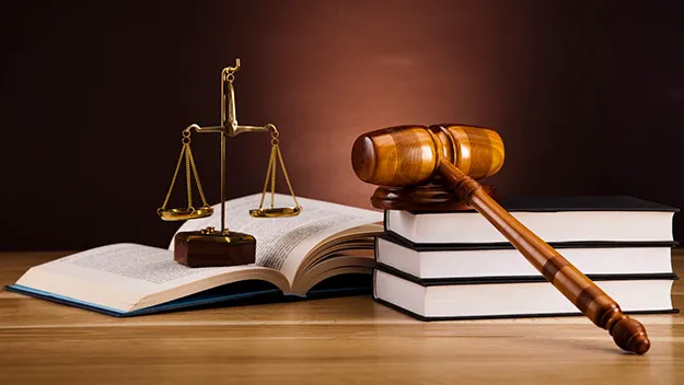 Portillo Immigration Law Group - Attorney Erika Portillo 2