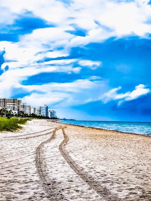 Miami Entertainment Law Group 0