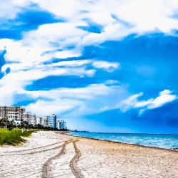 Miami Entertainment Law Group ico