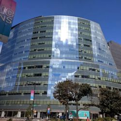 The Law Office of Ruth Chung, Esq. ico