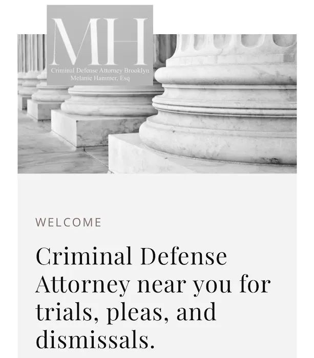 Criminal Defense Brooklyn 3