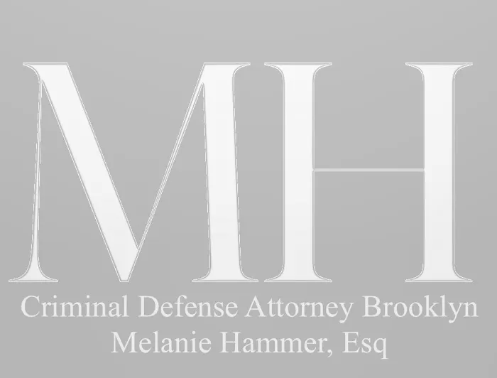 Criminal Defense Brooklyn 1