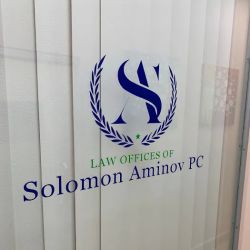 Law Offices of Solomon Aminov PC ico