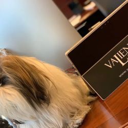 Valiente Law, P.A. ico