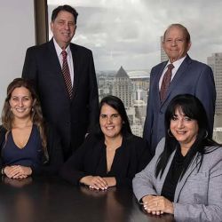 Goldberg and Hirsh P.A. ico