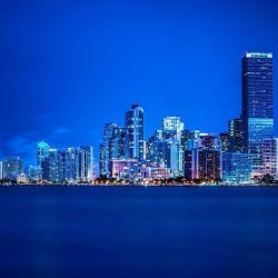 The Law Office of Adam K. Goodman, PLLC ico