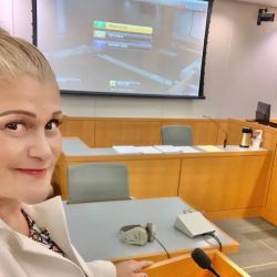 SANCHEZ ELKINS LAW, P.A. ico