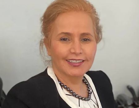 Law Offices of Wiliani-Malek