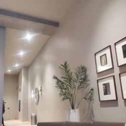 Downtown La law Group ico