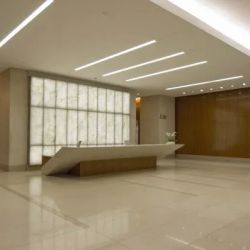 Larian Law Firm, APC ico