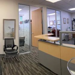 Landver Law Personal Injury Attorneys ico