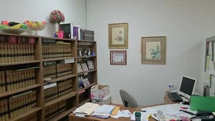 The Law Offices of Edith K. Chan 1