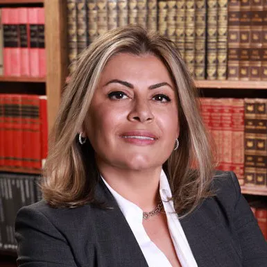 Law Offices of Niloufar H. Tash 1
