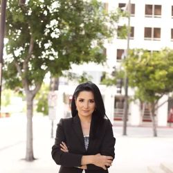 Law Office of Meline Mailyan, Esq. ico