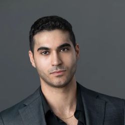 Borna Houman Law ico