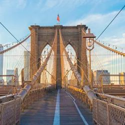 Oliveri & Schwartz P.C.: Brooklyn Personal Injury Lawyers ico