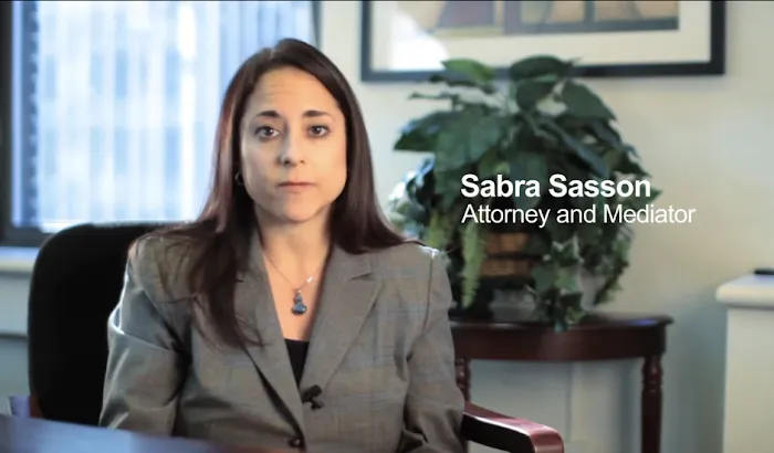 Sabra Law Group, PLLC 8
