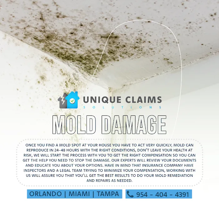 Unique Claims Solutions 5