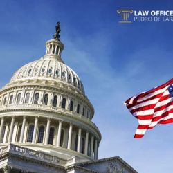 De Lara Immigration Law Office ico