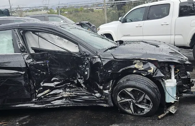 Pines Salomon Personal Injury Lawyers San Diego 3